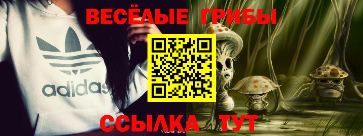 Галлюциногенные грибы прущие грибы  Вход с VPN  Галлюциногенные грибы мицелий  Нижнекамск 